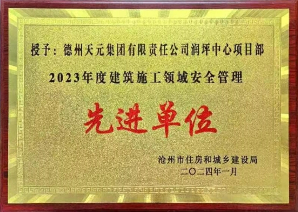 近期，天碩分公司榮獲多項榮譽
