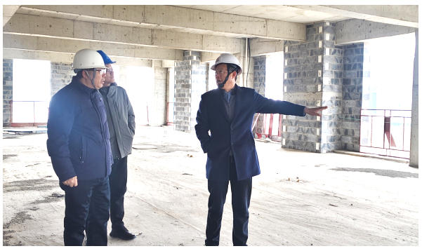 董事長楊海波赴動漫城項目檢查指導