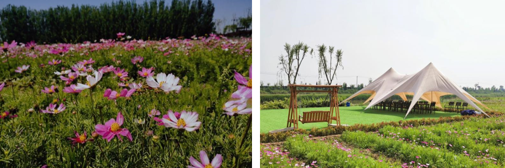 1684141437728576.png 1.png