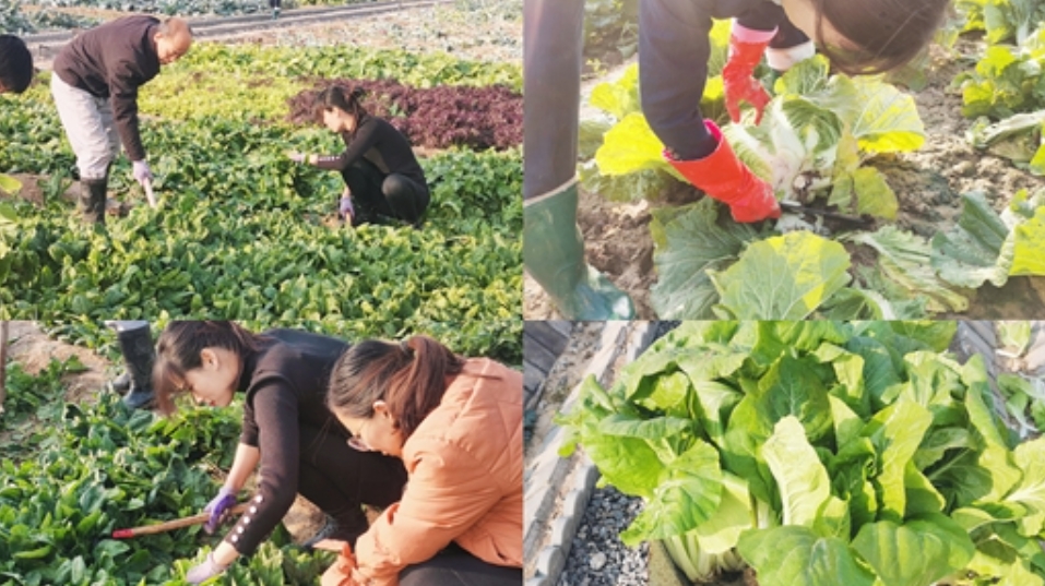 1700730918314946.png 2.png